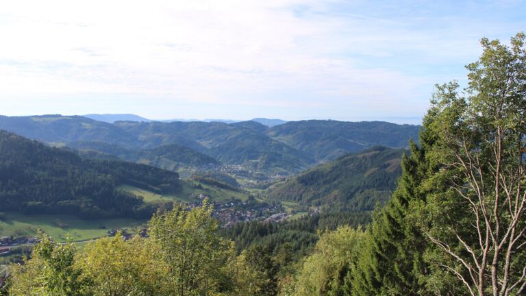 Dieses Bild zeigt eine Webcam-Aufnahme vom Achertal, aufgenommen am Donnerstag, den 15.10.2026 um 11:50 Uhr. Die Temperatur betrug 17.7°C.
