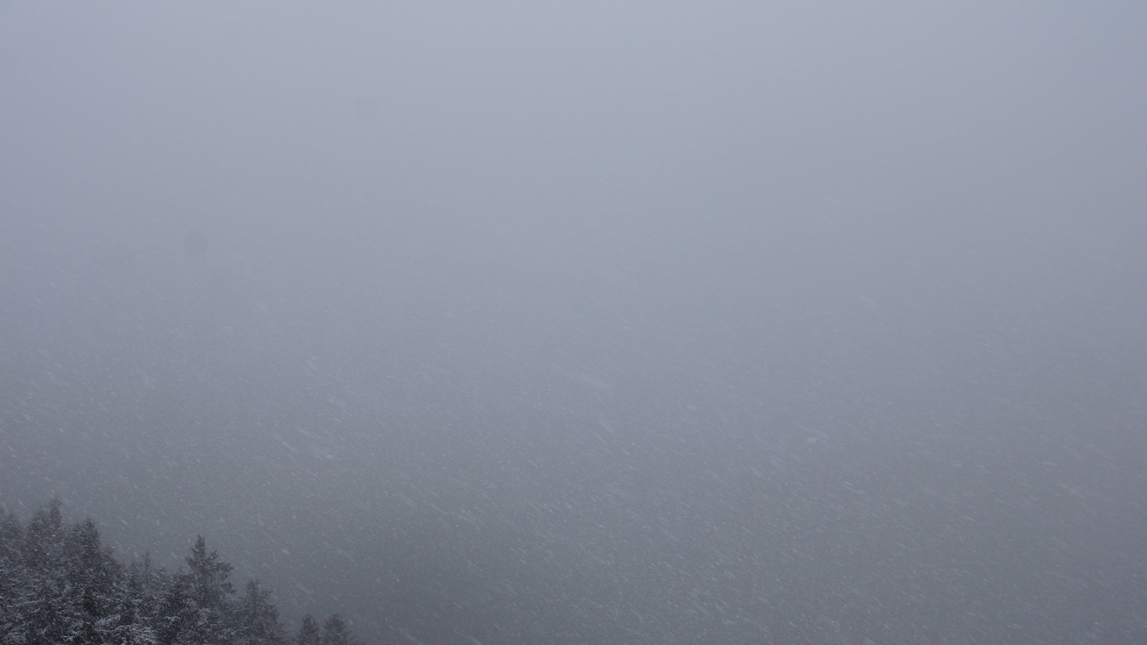 Zum Fotoarchiv vom Montag, 24. November 2025