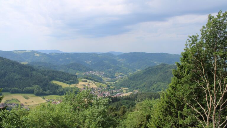 Dieses Bild zeigt eine Webcam-Aufnahme vom Achertal, aufgenommen am Sonntag, den 31.05.2026 um 11:20 Uhr. Die Temperatur betrug 24.5°C.