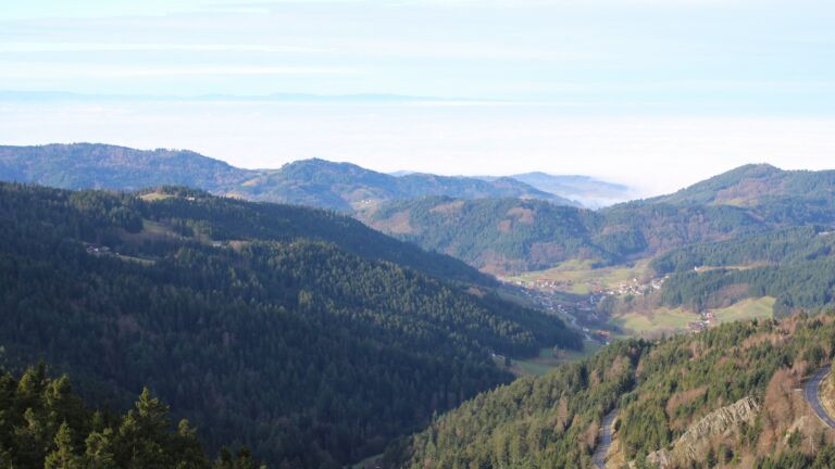 Dieses Bild zeigt eine Webcam-Aufnahme vom Achertal, aufgenommen am Mittwoch, den 03.12.2025 um 11:10 Uhr. Die Temperatur betrug 5.3°C.