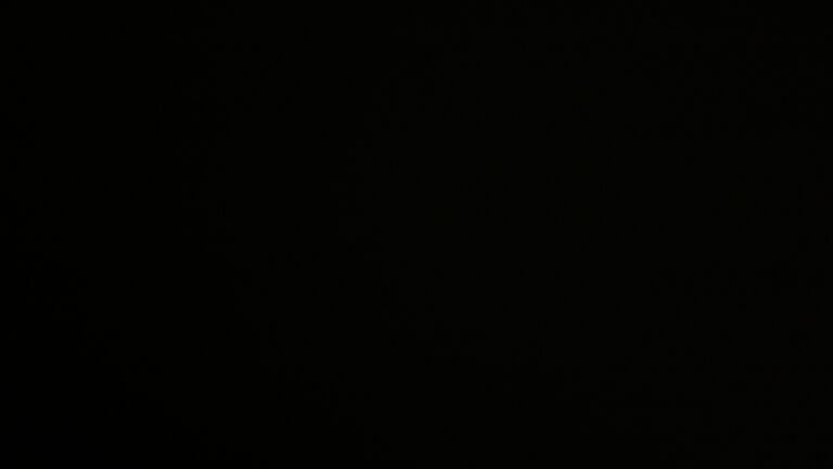 Dieses Bild zeigt eine Webcam-Aufnahme vom Achertal, aufgenommen am Freitag, den 24.10.2025 um 04:00 Uhr. Die Temperatur betrug 0.9°C.