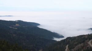 Dieses Bild zeigt eine Webcam-Aufnahme vom Achertal, aufgenommen am Montag, den 22.12.2025 um 11:20 Uhr. Die Temperatur betrug 11.7°C.