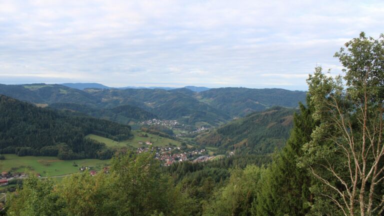 Dieses Bild zeigt eine Webcam-Aufnahme vom Achertal, aufgenommen am Montag, den 14.09.2026 um 08:30 Uhr. Die Temperatur betrug 14.9°C.