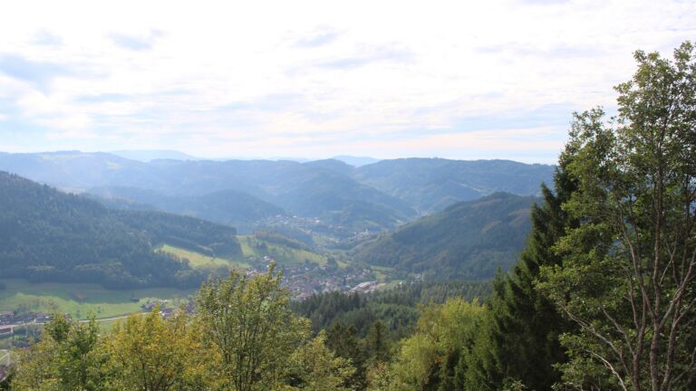 Dieses Bild zeigt eine Webcam-Aufnahme vom Achertal, aufgenommen am Freitag, den 16.10.2026 um 14:20 Uhr. Die Temperatur betrug 21.1°C.