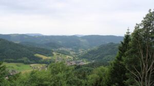 Dieses Bild zeigt eine Webcam-Aufnahme vom Achertal, aufgenommen am Dienstag, den 16.06.2026 um 14:20 Uhr. Die Temperatur betrug 18.5°C.