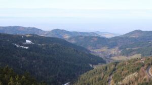 Dieses Bild zeigt eine Webcam-Aufnahme vom Achertal, aufgenommen am Samstag, den 17.01.2026 um 10:40 Uhr. Die Temperatur betrug 7.1°C.