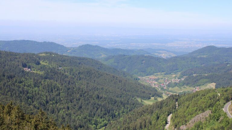 Dieses Bild zeigt eine Webcam-Aufnahme vom Achertal, aufgenommen am Donnerstag, den 15.05.2025 um 11:50 Uhr. Die Temperatur betrug 11.2°C.