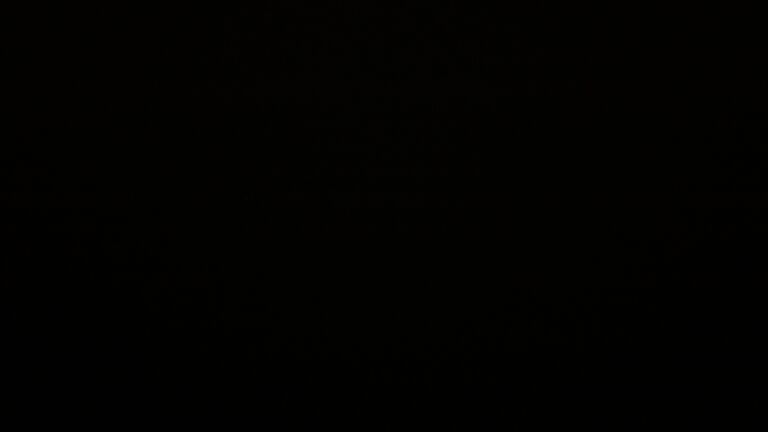 Dieses Bild zeigt eine Webcam-Aufnahme vom Achertal, aufgenommen am Montag, den 24.11.2025 um 03:30 Uhr. Die Temperatur betrug 0.9°C.