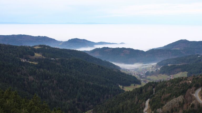 Dieses Bild zeigt eine Webcam-Aufnahme vom Achertal, aufgenommen am Dienstag, den 16.12.2025 um 11:00 Uhr. Die Temperatur betrug 10.2°C.