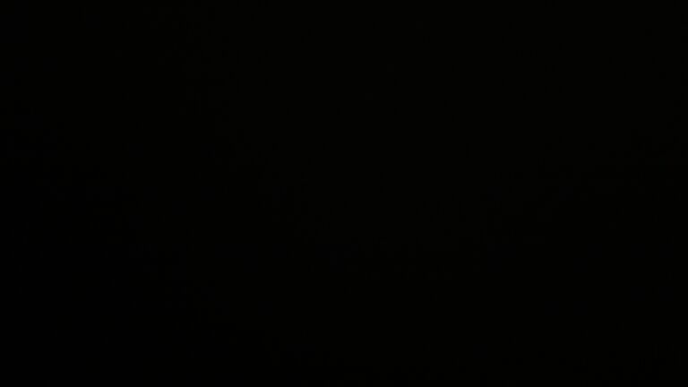 Dieses Bild zeigt eine Webcam-Aufnahme vom Achertal, aufgenommen am Donnerstag, den 07.05.2026 um 03:00 Uhr. Die Temperatur betrug 4.5°C.