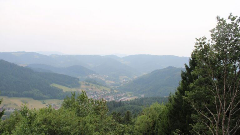 Dieses Bild zeigt eine Webcam-Aufnahme vom Achertal, aufgenommen am Donnerstag, den 30.07.2026 um 16:30 Uhr. Die Temperatur betrug 31.1°C.