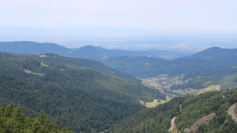 Dieses Bild zeigt eine Webcam-Aufnahme vom Achertal, aufgenommen am Samstag, den 19.07.2025 um 11:50 Uhr. Die Temperatur betrug 24°C.