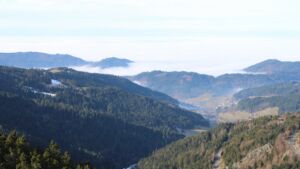 Dieses Bild zeigt eine Webcam-Aufnahme vom Achertal, aufgenommen am Donnerstag, den 22.01.2026 um 11:50 Uhr. Die Temperatur betrug 6.7°C.