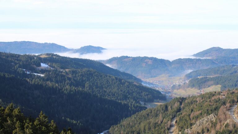 Dieses Bild zeigt eine Webcam-Aufnahme vom Achertal, aufgenommen am Donnerstag, den 22.01.2026 um 11:50 Uhr. Die Temperatur betrug 6.7°C.