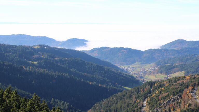 Dieses Bild zeigt eine Webcam-Aufnahme vom Achertal, aufgenommen am Freitag, den 07.11.2025 um 13:30 Uhr. Die Temperatur betrug 11.7°C.