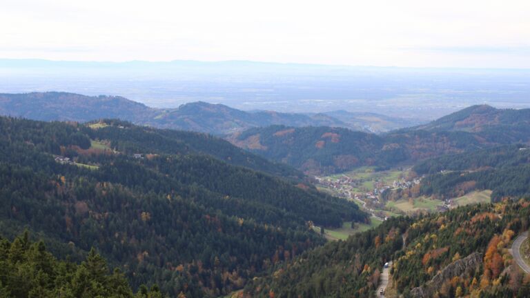 Dieses Bild zeigt eine Webcam-Aufnahme vom Achertal, aufgenommen am Mittwoch, den 29.10.2025 um 14:30 Uhr. Die Temperatur betrug 11.5°C.