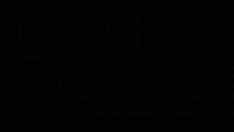 Dieses Bild zeigt eine Webcam-Aufnahme vom Achertal, aufgenommen am Samstag, den 02.08.2025 um 03:50 Uhr. Die Temperatur betrug 10.7°C.