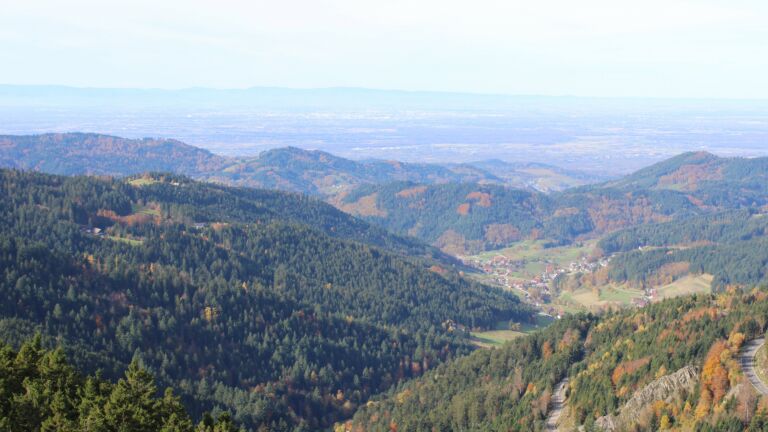 Dieses Bild zeigt eine Webcam-Aufnahme vom Achertal, aufgenommen am Mittwoch, den 29.10.2025 um 11:10 Uhr. Die Temperatur betrug 11.8°C.