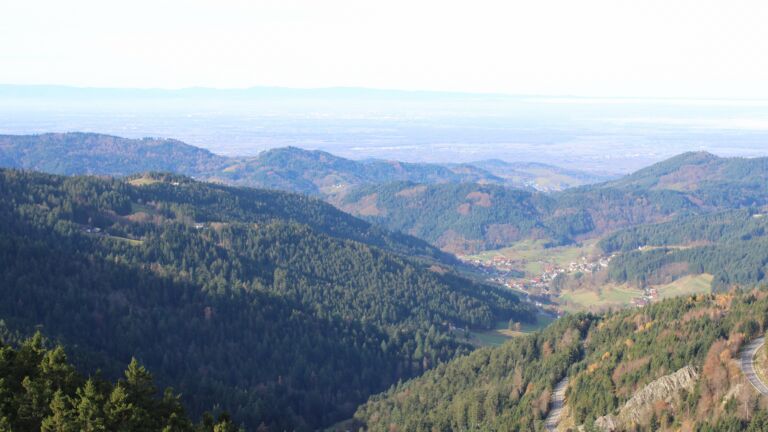 Dieses Bild zeigt eine Webcam-Aufnahme vom Achertal, aufgenommen am Mittwoch, den 12.11.2025 um 10:30 Uhr. Die Temperatur betrug 12.6°C.