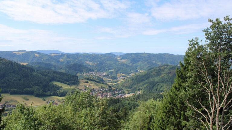 Dieses Bild zeigt eine Webcam-Aufnahme vom Achertal, aufgenommen am Donnerstag, den 06.08.2026 um 11:20 Uhr. Die Temperatur betrug 23.5°C.
