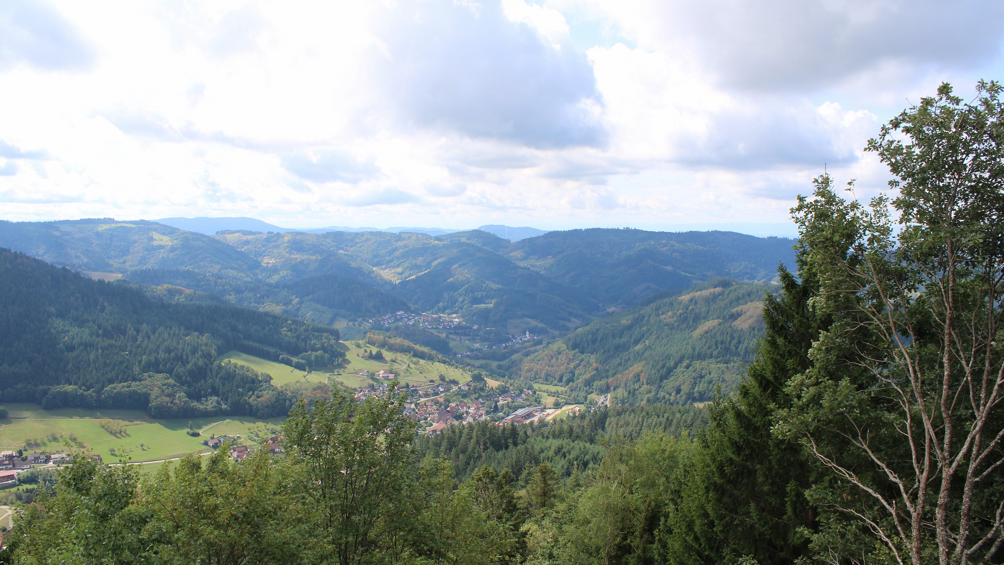Zum Fotoarchiv vom Samstag, 5. September 2026