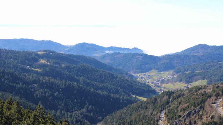 Dieses Bild zeigt eine Webcam-Aufnahme vom Achertal, aufgenommen am Mittwoch, den 25.02.2026 um 14:30 Uhr. Die Temperatur betrug 14.2°C.