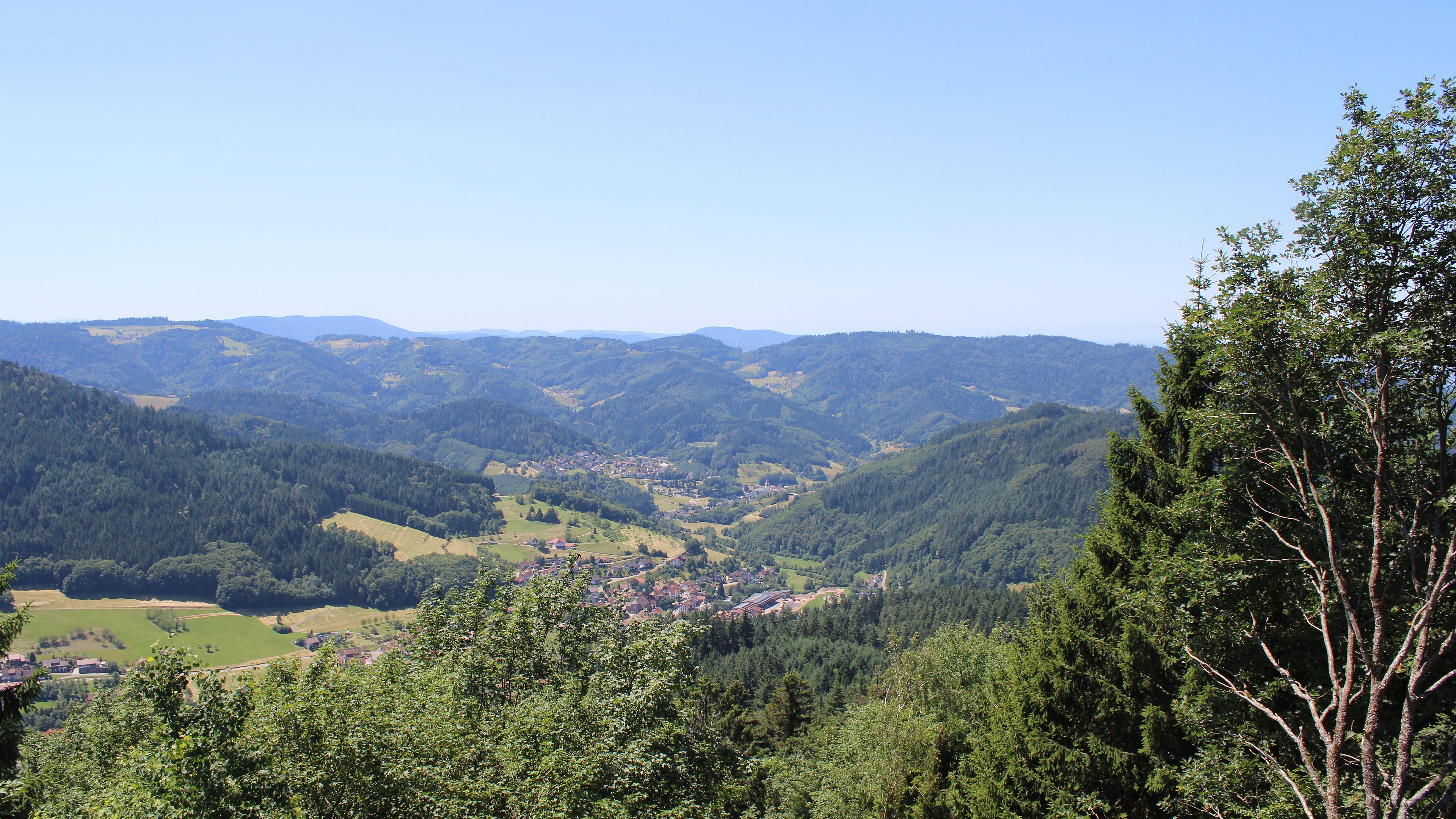 Zum Fotoarchiv vom Samstag, 4. Juli 2026