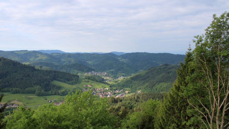 Dieses Bild zeigt eine Webcam-Aufnahme vom Achertal, aufgenommen am Mittwoch, den 13.05.2026 um 08:10 Uhr. Die Temperatur betrug 6.2°C.