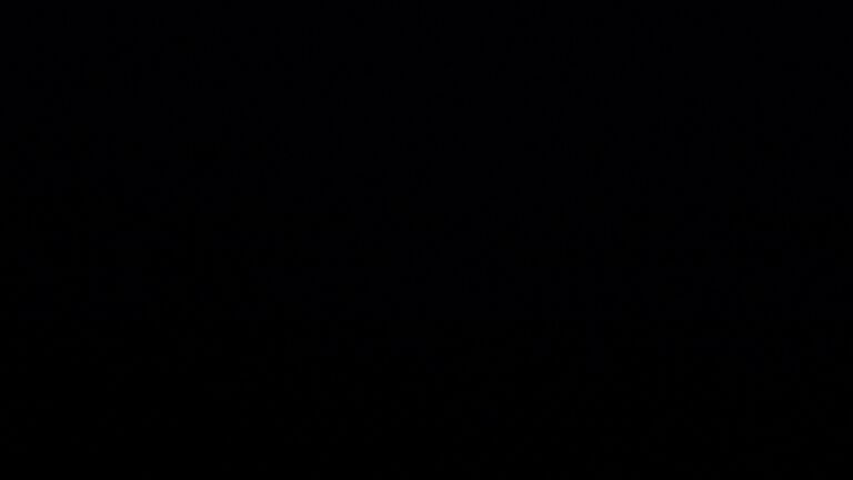 Dieses Bild zeigt eine Webcam-Aufnahme vom Achertal, aufgenommen am Dienstag, den 24.02.2026 um 06:20 Uhr. Die Temperatur betrug 5.1°C.