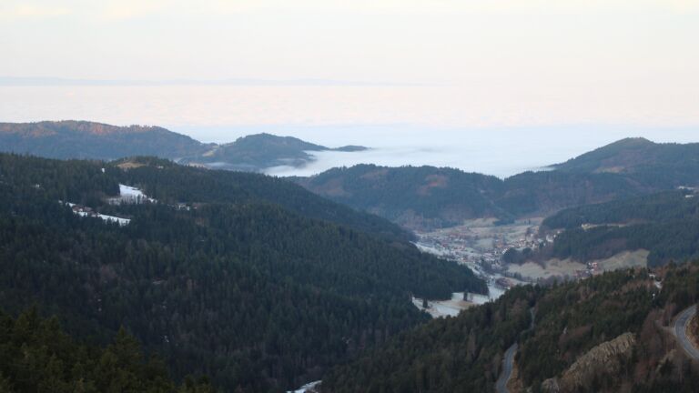 Dieses Bild zeigt eine Webcam-Aufnahme vom Achertal, aufgenommen am Mittwoch, den 21.01.2026 um 08:30 Uhr. Die Temperatur betrug 6°C.