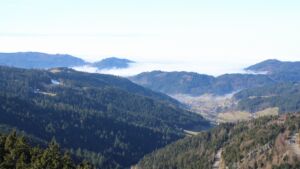 Dieses Bild zeigt eine Webcam-Aufnahme vom Achertal, aufgenommen am Sonntag, den 08.02.2026 um 13:00 Uhr. Die Temperatur betrug 5.1°C.