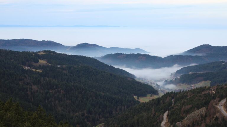 Dieses Bild zeigt eine Webcam-Aufnahme vom Achertal, aufgenommen am Dienstag, den 16.12.2025 um 08:50 Uhr. Die Temperatur betrug 9.5°C.