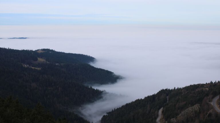 Dieses Bild zeigt eine Webcam-Aufnahme vom Achertal, aufgenommen am Montag, den 22.12.2025 um 09:50 Uhr. Die Temperatur betrug 8.9°C.