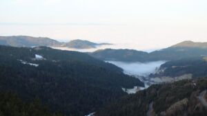 Dieses Bild zeigt eine Webcam-Aufnahme vom Achertal, aufgenommen am Mittwoch, den 21.01.2026 um 08:50 Uhr. Die Temperatur betrug 6.8°C.