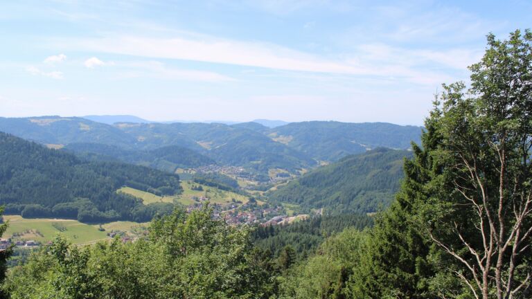 Dieses Bild zeigt eine Webcam-Aufnahme vom Achertal, aufgenommen am Samstag, den 11.07.2026 um 12:40 Uhr. Die Temperatur betrug 28.2°C.