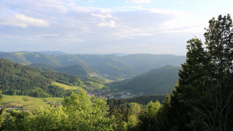 Dieses Bild zeigt eine Webcam-Aufnahme vom Achertal, aufgenommen am Mittwoch, den 20.05.2026 um 19:50 Uhr. Die Temperatur betrug 14.2°C.
