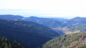 Dieses Bild zeigt eine Webcam-Aufnahme vom Achertal, aufgenommen am Donnerstag, den 11.12.2025 um 11:30 Uhr. Die Temperatur betrug 5.8°C.