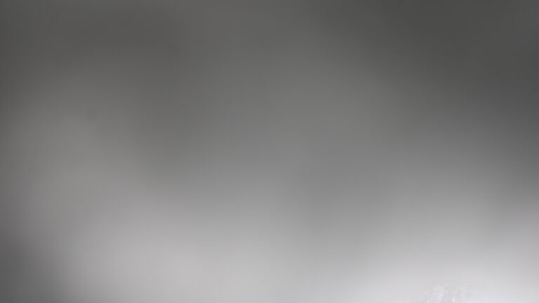 Dieses Bild zeigt eine Webcam-Aufnahme vom Achertal, aufgenommen am Mittwoch, den 07.01.2026 um 14:10 Uhr. Die Temperatur betrug -5.8°C.