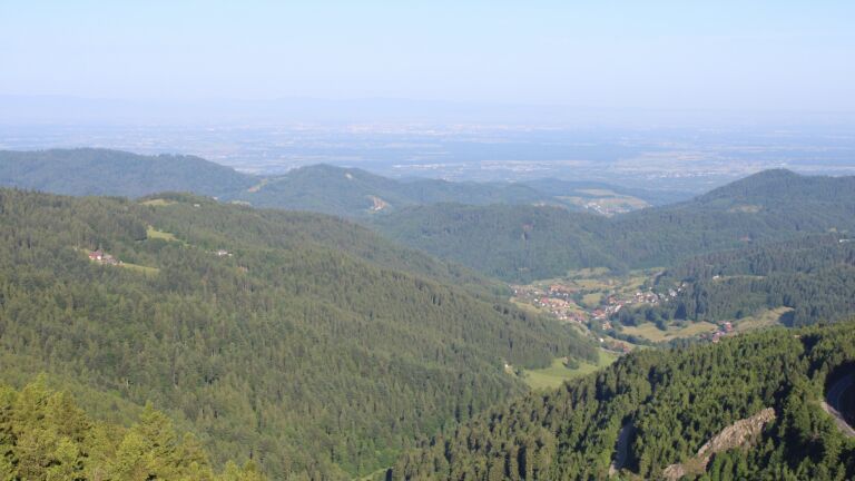 Dieses Bild zeigt eine Webcam-Aufnahme vom Achertal, aufgenommen am Samstag, den 31.05.2025 um 08:10 Uhr. Die Temperatur betrug 23.9°C.