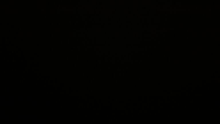 Dieses Bild zeigt eine Webcam-Aufnahme vom Achertal, aufgenommen am Dienstag, den 23.09.2025 um 03:00 Uhr. Die Temperatur betrug 4.2°C.