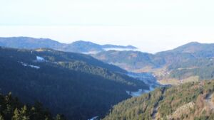 Dieses Bild zeigt eine Webcam-Aufnahme vom Achertal, aufgenommen am Mittwoch, den 21.01.2026 um 10:30 Uhr. Die Temperatur betrug 11.1°C.