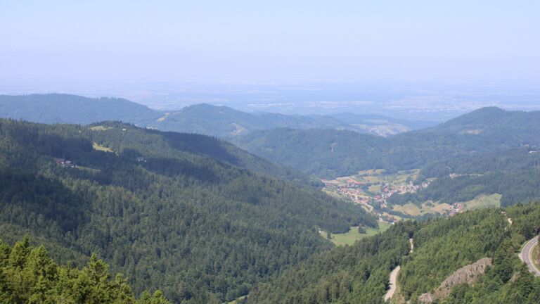 Dieses Bild zeigt eine Webcam-Aufnahme vom Achertal, aufgenommen am Mittwoch, den 11.06.2025 um 11:40 Uhr. Die Temperatur betrug 18.6°C.