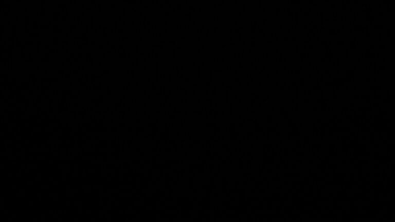 Dieses Bild zeigt eine Webcam-Aufnahme vom Achertal, aufgenommen am Montag, den 23.02.2026 um 03:00 Uhr. Die Temperatur betrug 4.1°C.