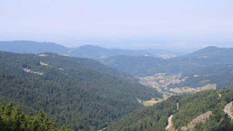 Dieses Bild zeigt eine Webcam-Aufnahme vom Achertal, aufgenommen am Dienstag, den 01.07.2025 um 11:40 Uhr. Die Temperatur betrug 25°C.