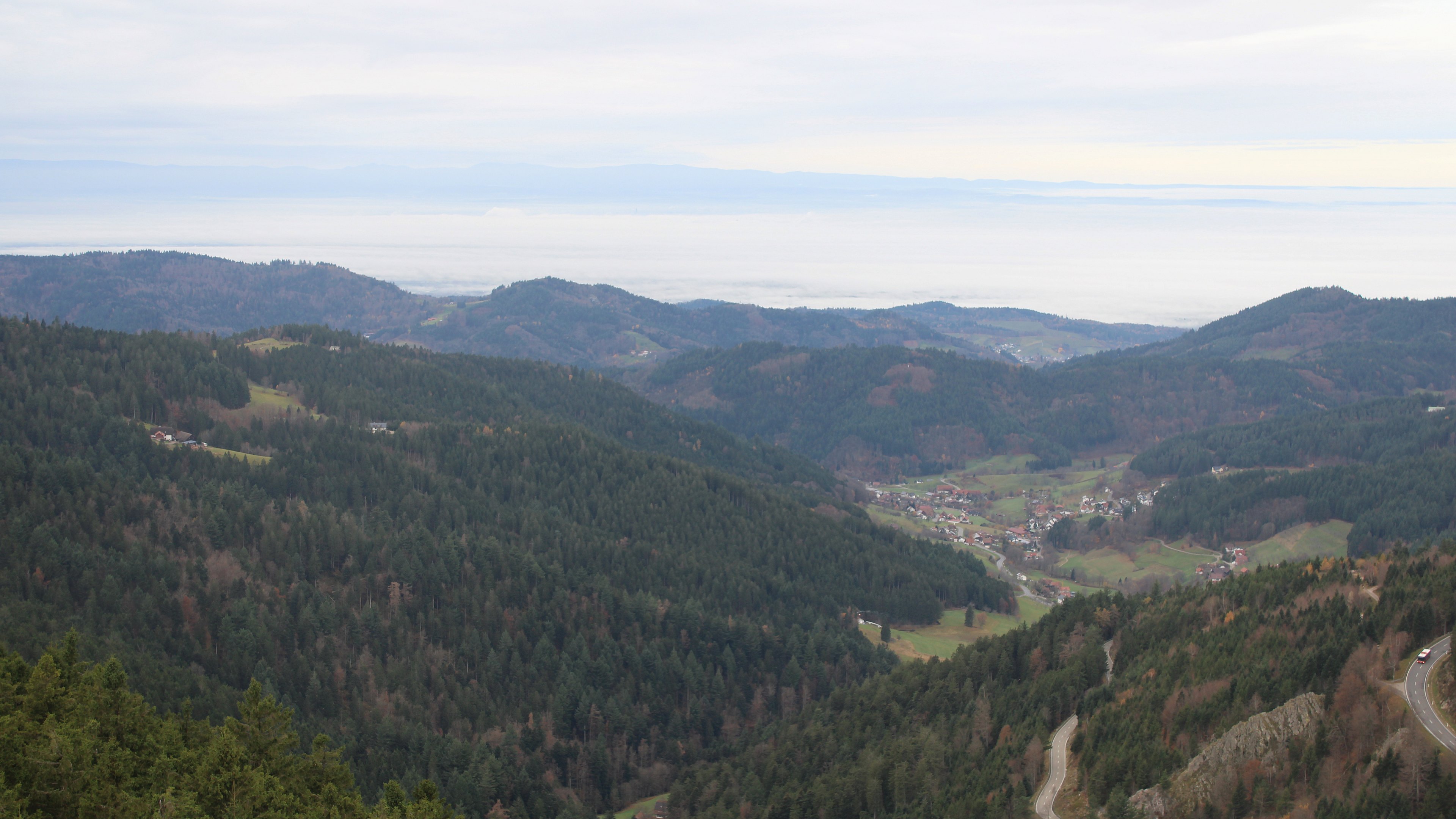 Zum Fotoarchiv vom Sonntag, 16. November 2025