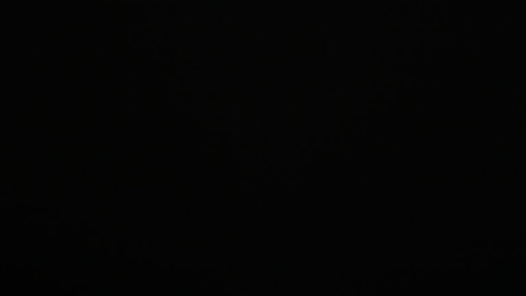 Dieses Bild zeigt eine Webcam-Aufnahme vom Achertal, aufgenommen am Freitag, den 02.01.2026 um 06:30 Uhr. Die Temperatur betrug -4.6°C.