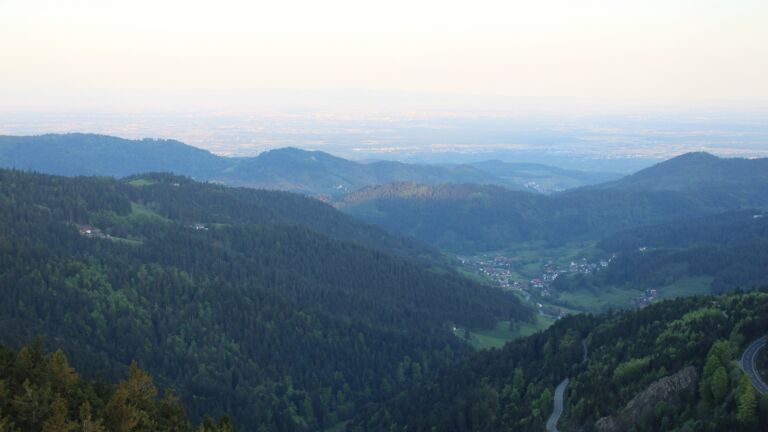 Dieses Bild zeigt eine Webcam-Aufnahme vom Achertal, aufgenommen am Freitag, den 02.05.2025 um 06:50 Uhr. Die Temperatur betrug 16.5°C.