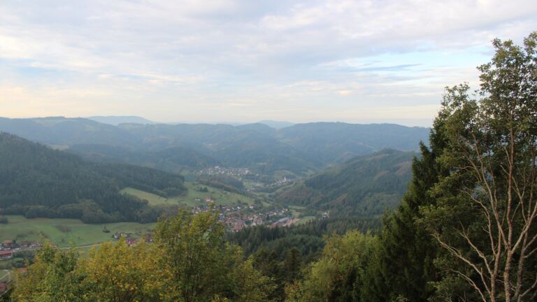 Dieses Bild zeigt eine Webcam-Aufnahme vom Achertal, aufgenommen am Freitag, den 16.10.2026 um 08:50 Uhr. Die Temperatur betrug 13.5°C.