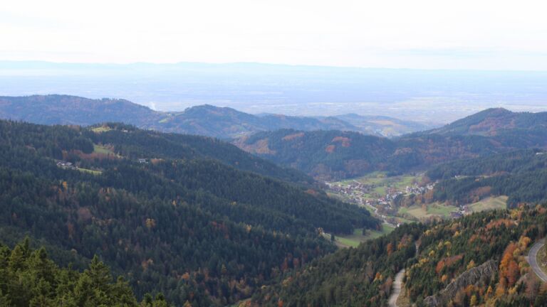 Dieses Bild zeigt eine Webcam-Aufnahme vom Achertal, aufgenommen am Mittwoch, den 29.10.2025 um 14:20 Uhr. Die Temperatur betrug 11.9°C.