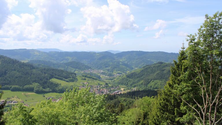 Dieses Bild zeigt eine Webcam-Aufnahme vom Achertal, aufgenommen am Donnerstag, den 21.05.2026 um 12:30 Uhr. Die Temperatur betrug 19.1°C.
